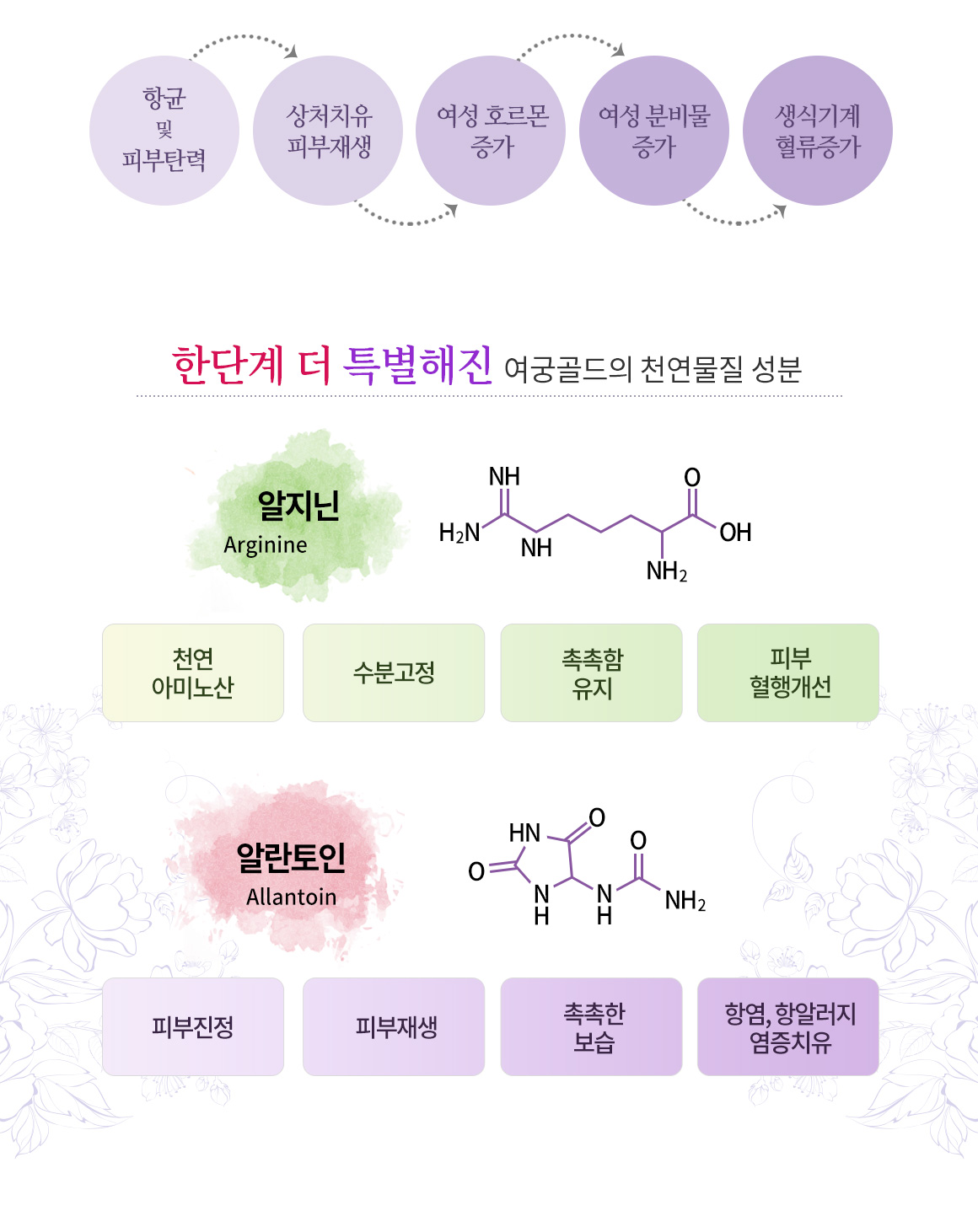 세포재생으로 시간을 되돌리는 EGF